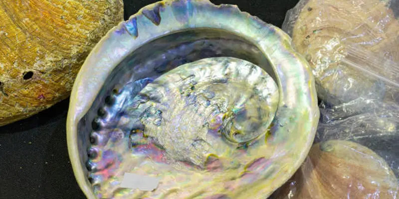 what is mother of pearl